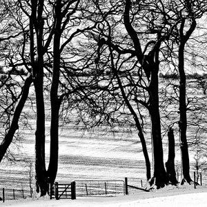 Gallery, Kingsclere Neighbourhood Plan