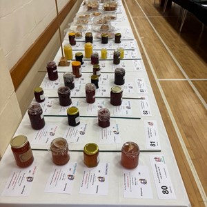 Mannings Heath & District Horticultural Society Summer Show 2025