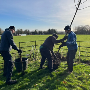 Meadow View Cemetery tree planting