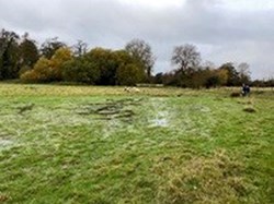 Walking through lots of water meadows and boggy fields of special breeds; some wise walkers wore wellies. ©EH
