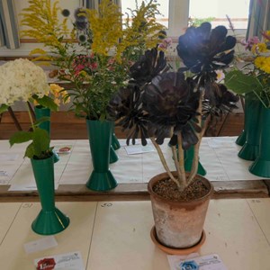 West Meon Garden Club Summer Show 2019