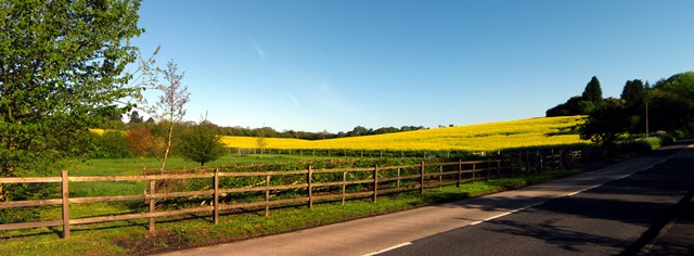 Overlooking Little Meadow