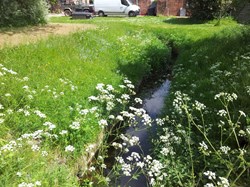 MINTING, GAUTBY & DISTRICT HERITAGE SOCIETY PhotoGallery 2
