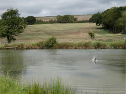 Puncknowle Swyre Home