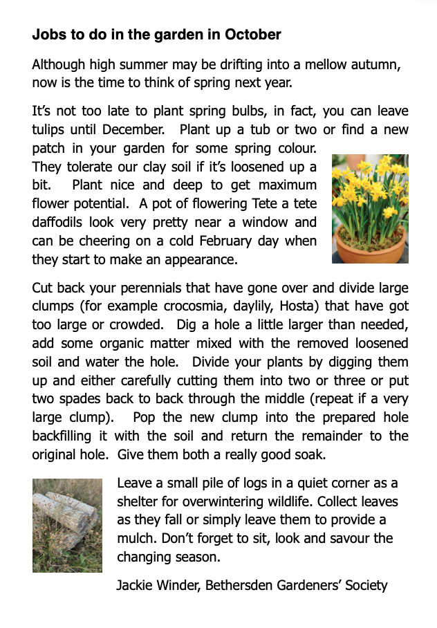 BETHERSDEN GARDENERS' SOCIETY Jobs to do in October