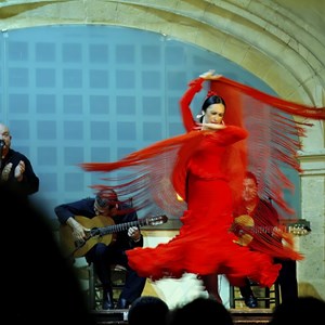 06. Flamenco swirl