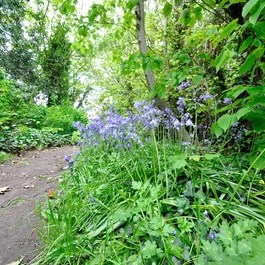 Shuttington and Alvecote Parish Council Gallery