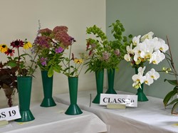 Bucklebury and Marlston Horticultural Society Autumn Show 2024