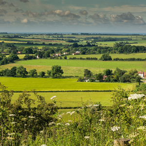 Lincolnshire Association of Agricultural Valuers How to Join