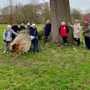 Circle of Friends CIC Gallery