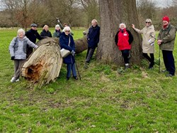 Circle of Friends CIC Gallery