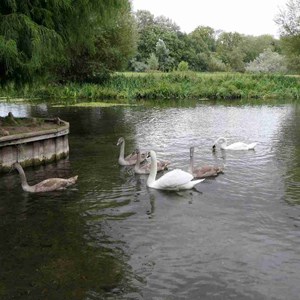 Goodworth Clatford Parish Council  Fete 2026 photos