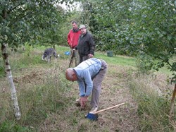 Planting Bluebells with Alan Barnett in Barnetts Wood