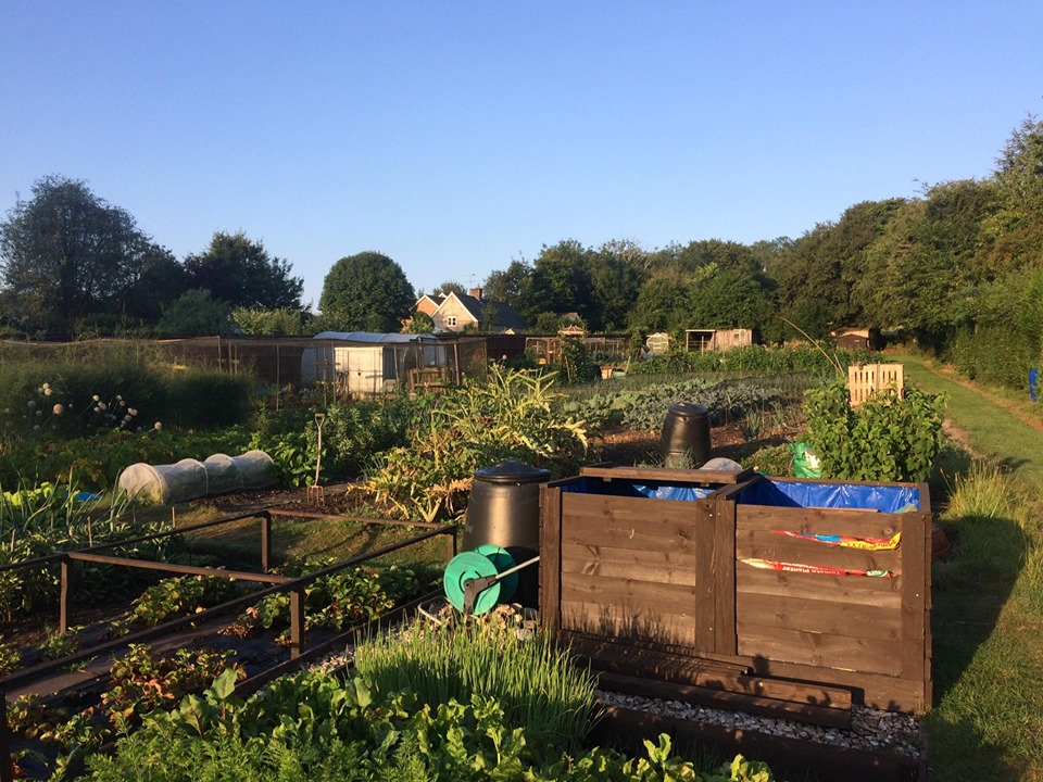 Ibthorpe allotments - July 2019 Ibthorpe allotments - July 2019
