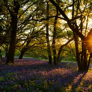 Hilton Parish Council Hilton Parish Gallery