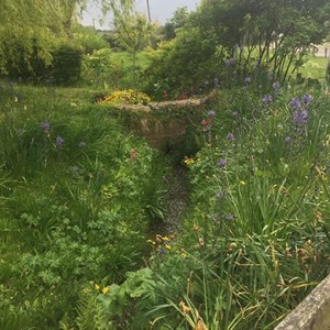 Chillerton and Gatcombe Parish Council Village Photos
