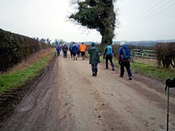 Nearly home – towards the end of a wonderful walk. ©PT