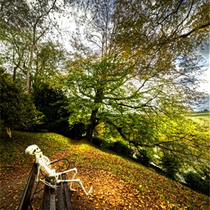 12. Enjoying the Autumn of life