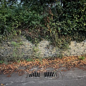 Buckland Dinham Lower St Clean up