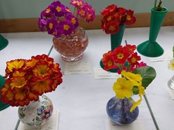 Bucklebury and Marlston Horticultural Society Spring Show Report 2026