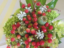 Margaret Harker Hall & Blofield Memorial Ground Blofield Gardening Club