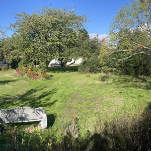 Collies Garden - 15 Sept 2026 (M Trueman)
