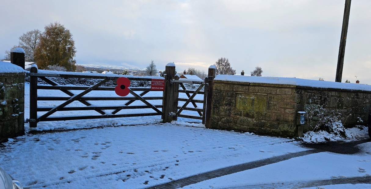 Image of Renshaw's Field gate on a snowy day with red Remembrance poppies attached Image of Renshaw's Field gate on a snowy day with red Remembrance poppies attached