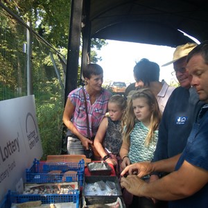 Visitors viewing and handling some of the finds
