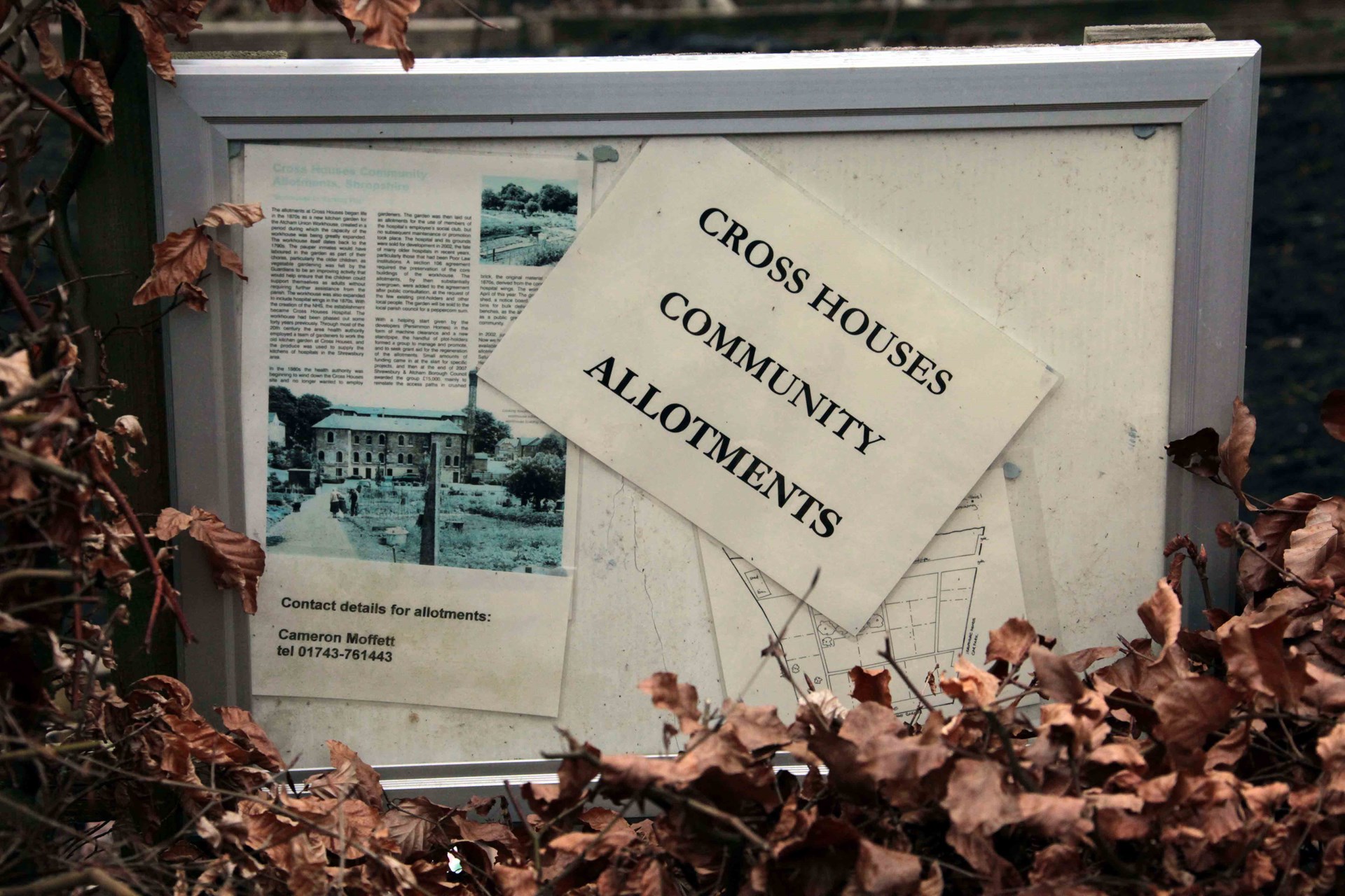 Berrington Parish Council Allotments