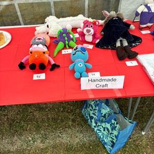 Snodland Town Council Snodland Fete (Previously Carnival)