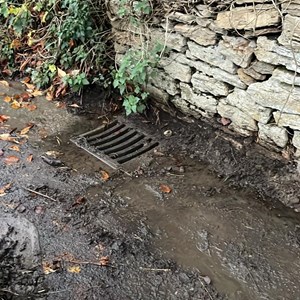 Buckland Dinham Lower St Clean up