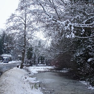 Rectory Road pond in winter