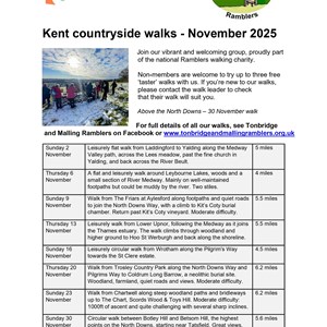 Snodland Town Council Posters for Noticeboards