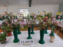 Bucklebury and Marlston Horticultural Society Spring Show Report 2026