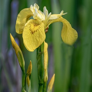 10. Spring into Summer