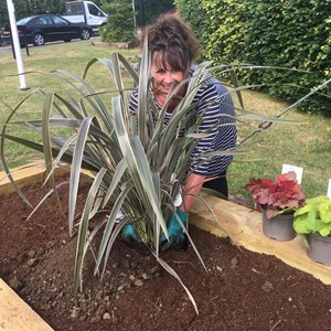 Planters at the crossroads - Cllr Sharron Comerford planting