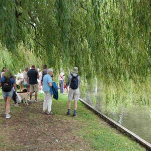 Goodworth Clatford Parish Council  Fete 2026 photos