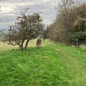 Hereford Mountain Club Our recent activities