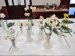 Sutton Valence Gardeners Association The Annual Shows