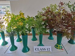 Bucklebury and Marlston Horticultural Society Autumn Show Report 2026
