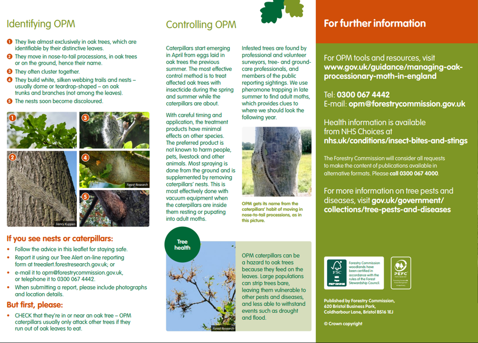 Hedgerley Parish Council Oak Processionary Moth