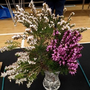 Mannings Heath & District Horticultural Society Photo Gallery