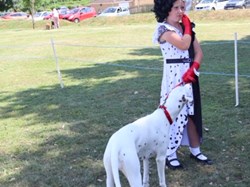 Ilminster and District Lions Club Dog Shows/Rally