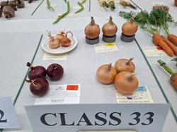 Bucklebury and Marlston Horticultural Society Autumn Show Report 2026