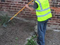 Mick finishing weeding the shrub border.