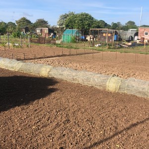 Hoo St Werburgh and Chattenden Parish Council Parish Allotments
