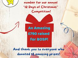 BOSP Brighter Opportunities for Special People  Community Fundraising