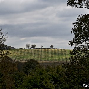 Gallery, Kingsclere Neighbourhood Plan