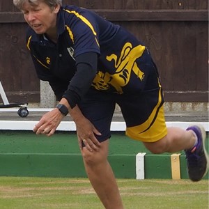 Aldiss Park Bowls Club County Ladies 4s Qtr/Sems