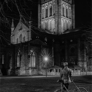 23. Elgar's contemplation